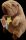 Capybara plüss (34000)