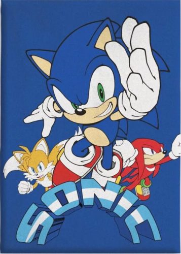 Sonic a sündisznó Coin Chase polár takaró 100x140cm 